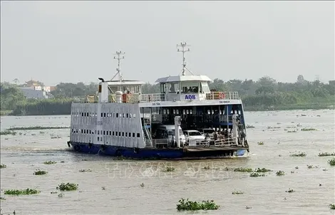 An Giang: Các bến phà hoạt động hết công suất dịp cao điểm Tết