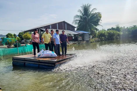 Chú trọng quản lý, bảo vệ và phát triển thủy sản bền vững
