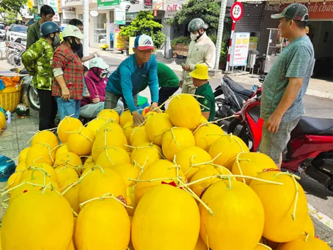 Dưa hấu chưng Tết dồi dào, đa dạng chủng loại