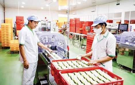 Ứng dụng công nghệ - mở rộng sản xuất