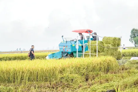 Tái sinh phụ phẩm, ươm mầm xanh