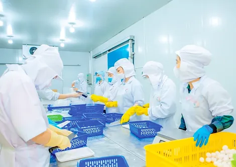Liên kết để cộng hưởng sức mạnh