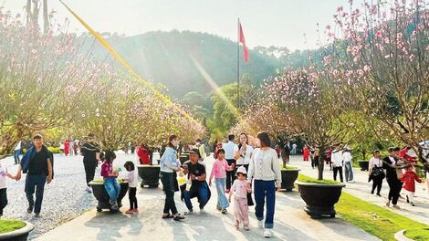 Ngành du lịch nối dài đà tăng trưởng tích cực