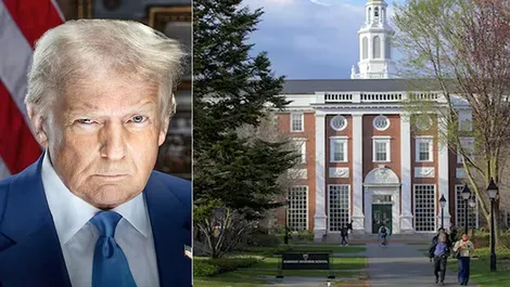 Đại học tinh hoa Mỹ gặp khó dưới thời ông Trump