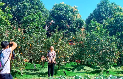 Không gian xanh thu hút du khách đến Cần Thơ