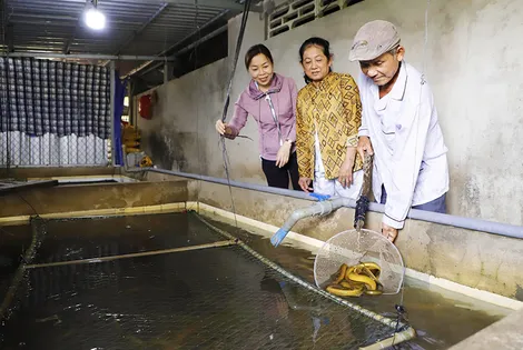 Tín dụng chính sách - trợ lực giúp đồng bào Khmer vươn lên