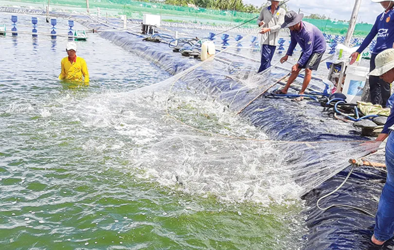 Thúc đẩy chuyển đổi số để ngành Thủy sản phát triển bền vững