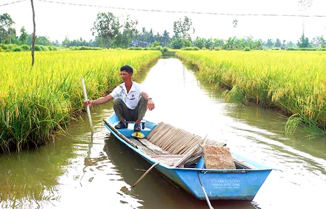 Ngược dòng ST
