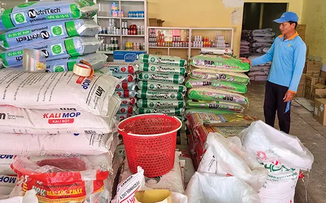 Giá phân bón tăng cao, nông dân gặp khó