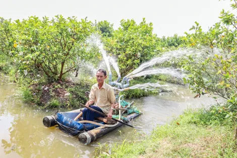 Nhà vườn trồng cây ăn trái chủ động ứng phó hạn, mặn