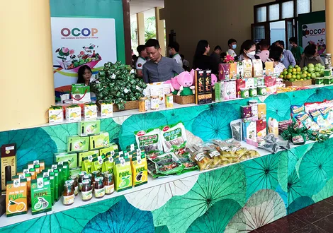 Vùng ĐBSCL đứng thứ 2 cả nước về số lượng sản phẩm OCOP