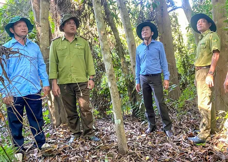 Tăng cường phòng, chống cháy rừng mùa khô