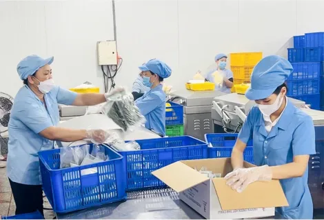 Trợ lực thúc đẩy chuyển đổi số cho doanh nghiệp nhỏ và vừa