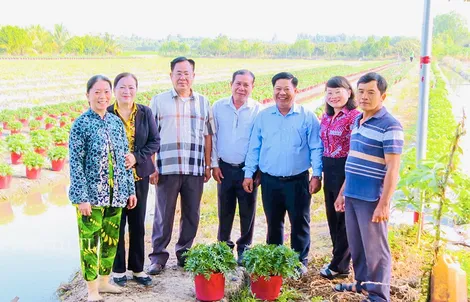 Nhiều hoạt động chăm lo, hỗ trợ phụ nữ