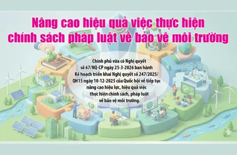 [INFOGRAPHICS] Nâng cao hiệu quả việc thực hiện chính sách pháp luật về bảo vệ môi trường