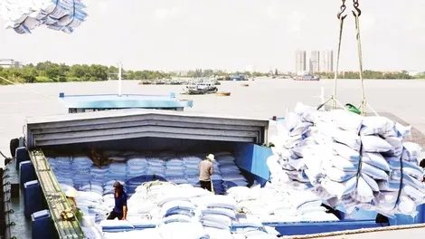 Mở rộng thị trường tiêu thụ lúa gạo