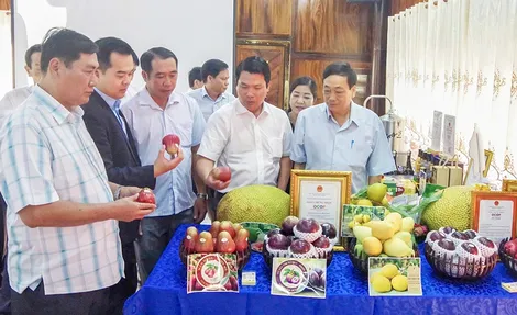 Kết nối đưa sản phẩm OCOP, nông sản đặc trưng TP Cần Thơ tiêu thụ tại khu du lịch