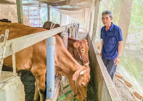 Ngành chăn nuôi và thú y còn nhiều dư địa nâng cao giá trị