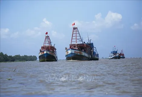 Ngư dân tìm cách bám biển trong biến động giá nhiên liệu
