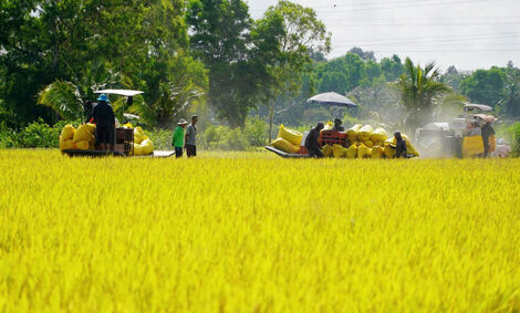 ផ្តើម​ពី​សេចក្តី​សម្រេច​ចិត្ត រហូត​ដល់​ការ​វិវឌ្ឍន៍​ក្នុង​ជីវ​ភាព​របស់​ជន​រួម​ជាតិ​ខ្មែរ​