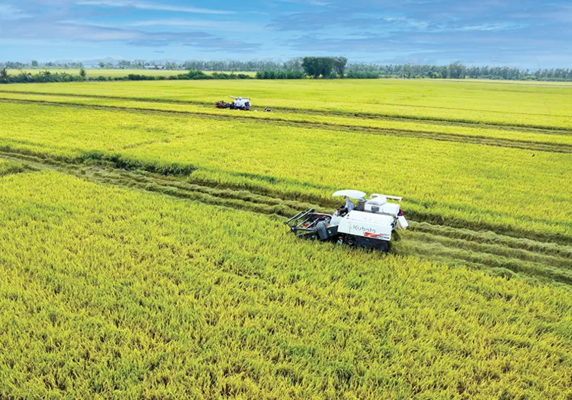 Dựng xây một Mekong Delta xanh - Chung khát vọng, cùng hành độngBài cuối: Xoay trục phát triển, bứt phá tương lai