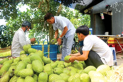 Thúc đẩy phát triển chuỗi giá trị ngành hàng nông nghiệp gắn với phát triển du lịch, chương trình OCOP ở địa phương