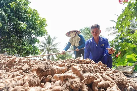 Vợ chồng U60 trả ơn đời khi “thấy đủ”