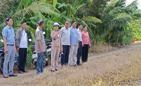 Hoạt động giám sát chuyên đề của HĐND