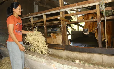 “Lấy ngắn nuôi dài” để phát triển kinh tế
