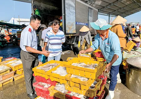 Tăng cường quản lý tàu cá cập cảng, xuất cảng khai thác hải sản