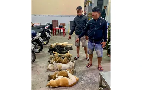 Trộm chó mang đi tiêu thụ, bị công an phát hiện