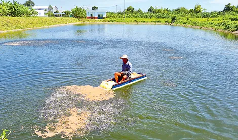 Đảm bảo cung cấp giống cây trồng, vật nuôi an toàn,  chất lượng cao cho sản xuất