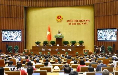 Thông qua Tờ trình về việc bổ sung Chương trình Kỳ họp thứ nhất kéo dài thêm 0,5 ngày