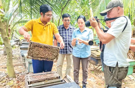 Bảo tồn hệ sinh thái, phát triển mô hình ứng phó biến đổi khí hậu