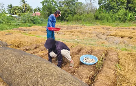 Dạo quanh thị trường ngày 25-4