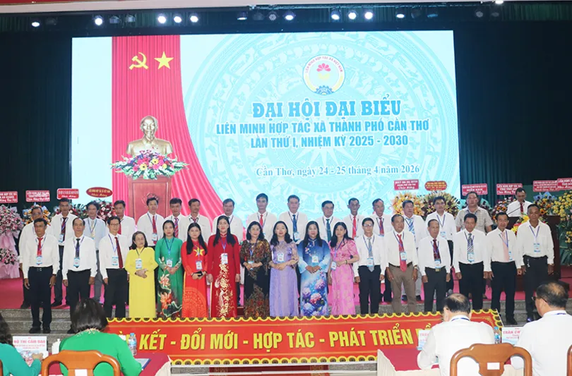 Thúc đẩy kinh tế tập thể phát triển năng động, hiệu quả và bền vững