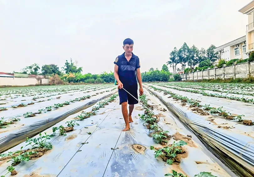 Nắng nóng kéo dài, nguy cơ thiếu nước cho sản xuất nông nghiệp