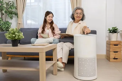 Không khí sạch cải thiện chức năng não