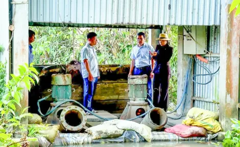 Sớm đầu tư, nâng cấp trạm bơm điện cho vùng lúa trọng điểm