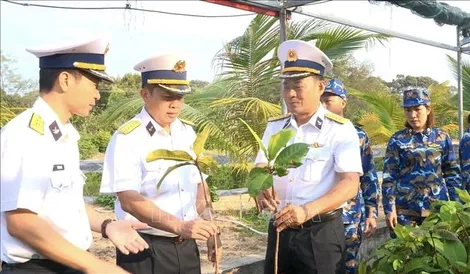 Chung tay xây dựng, xanh hóa Trường Sa thân yêu