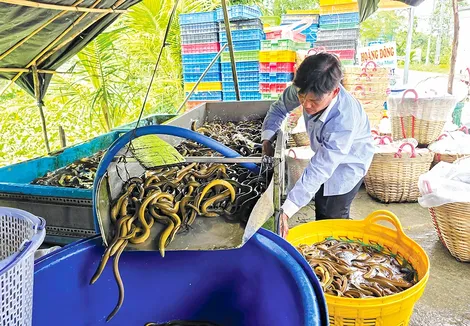Đừng chờ "giải cứu"