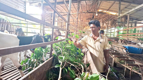 ប្រ​សិទ្ធ​ភាព​នៃ​គោល​នយោ​បាយ​ជំ​នួយ​ទុន​អភិ​វឌ្ឍ​ចិញ្ចឹម​ព​ពែ