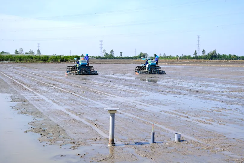 Kỳ vọng tiếp sức trí thức trẻ trong “hành trình ngược dòng”