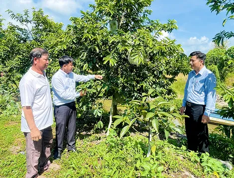 Hiệu quả từ phong trào thi đua Dân vận khéo