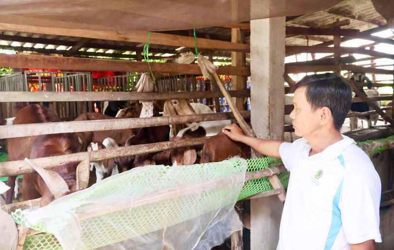 ទម្រង់​ញ្ចឹម​ពពែ​ប្រ​កប​ដោយ​ប្រ​សិទ្ធ​ភាព​របស់​បង​ហឿ​ថាញ​ផុង