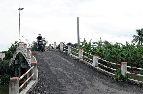 Thiết thực làm theo gương Bác