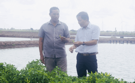 លើក​កម្ពស់​ប្រ​សិទ្ធ​ភាព​ទម្រង់ VAC ក្នុង​ការ​អភិ​វឌ្ឍ​កសិ​កម្ម​បៃ​តង​
