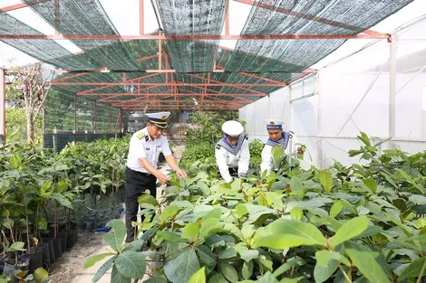 Những "cột mốc xanh" ở Trường Sa