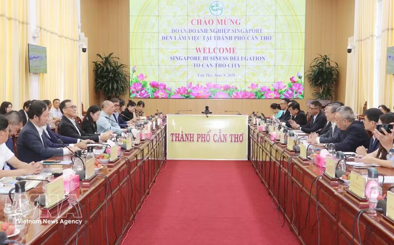 Can Tho invites Singaporean firms to invest in industry, energy, logistics