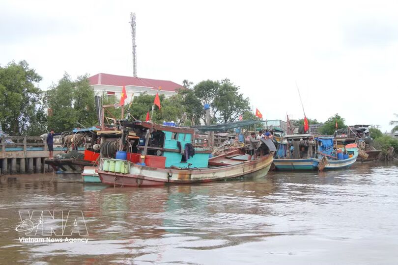 Ca Mau province tightens fishing vessel controls to combat IUU fishing
